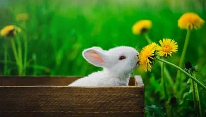 AIYOUXI.COM-火箭新援称加盟后信心倍增，火箭新援称加盟后信心倍增是真的吗