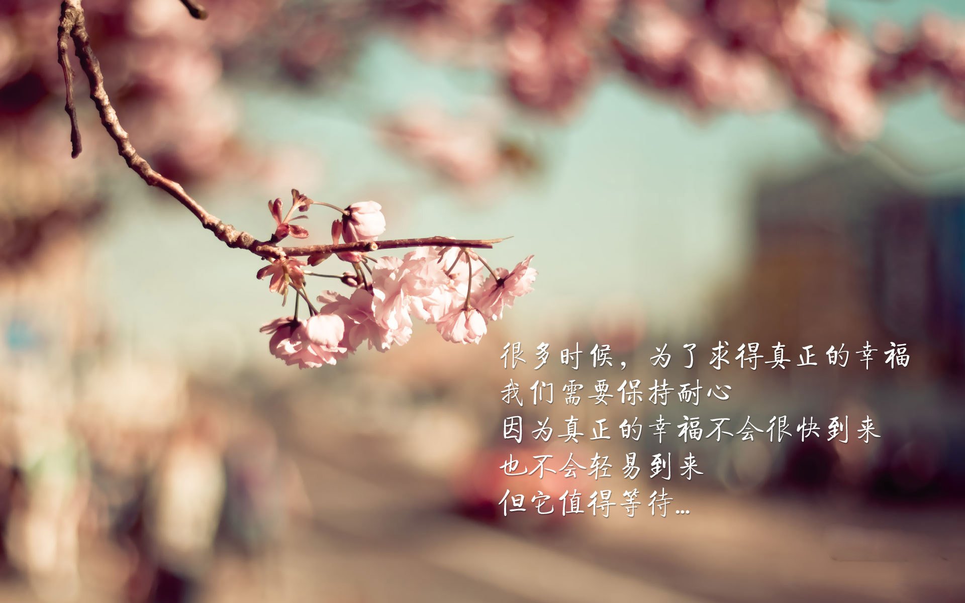 法甲投入基层社区拓宽青少年基础的经验总结