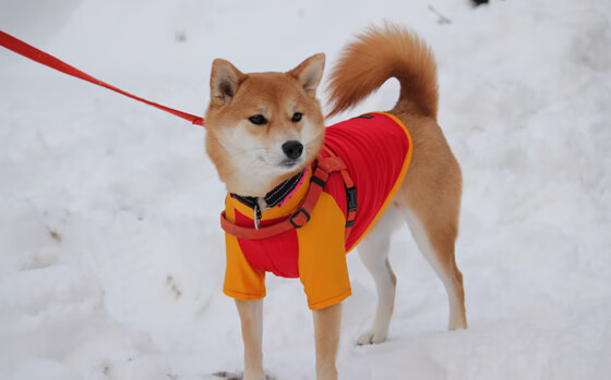 爱游戏app下载-媒体曝光球员训练日常球迷点赞励志故事，鼓励球员的句子