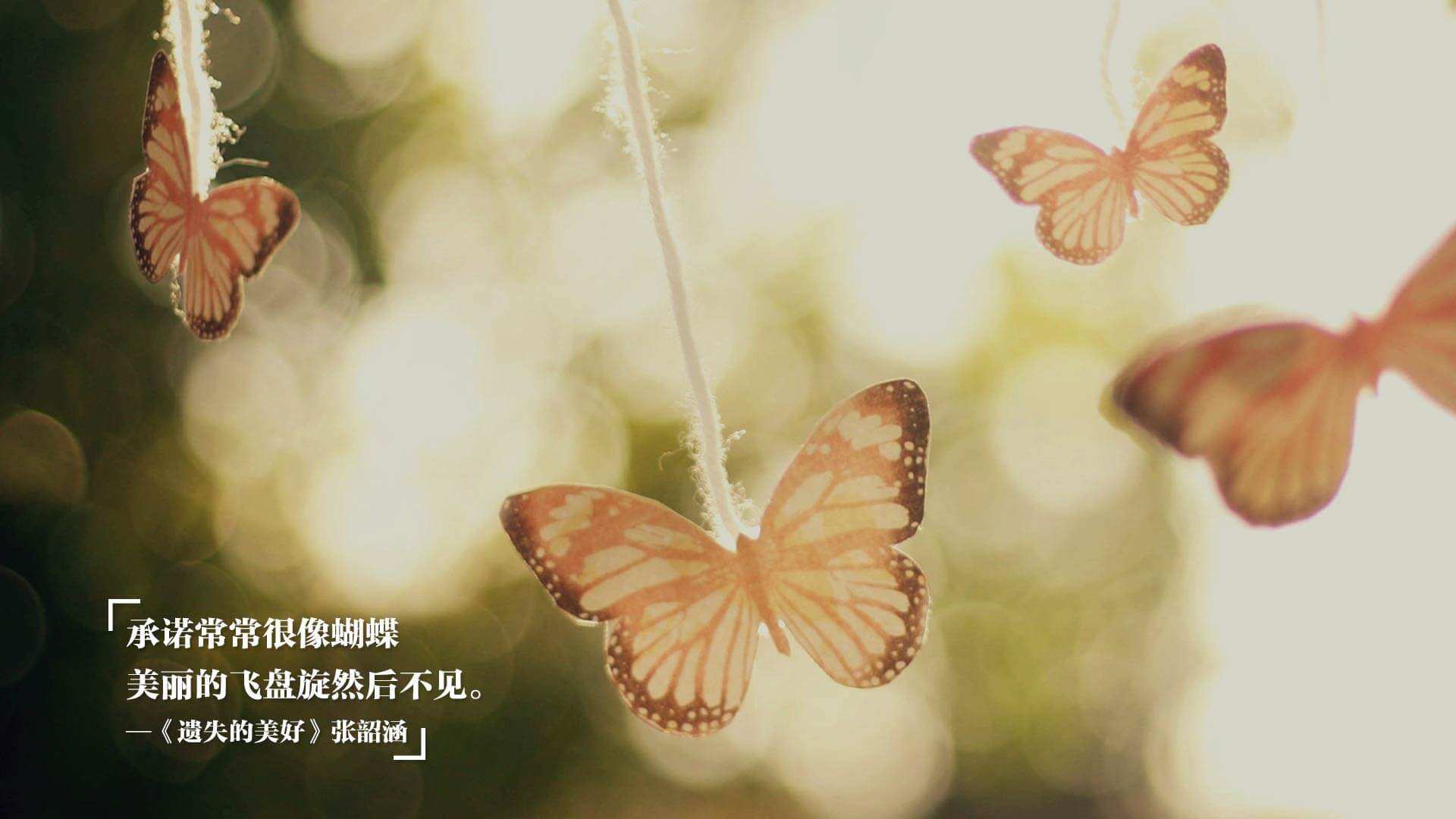 爱游戏平台-乌克兰女篮在欧洲锦标赛中奋勇冲击奖牌