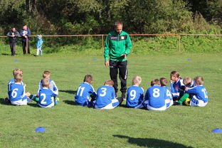 爱游戏app下载-南非混合泳团队战术引热议，南非的混合农业