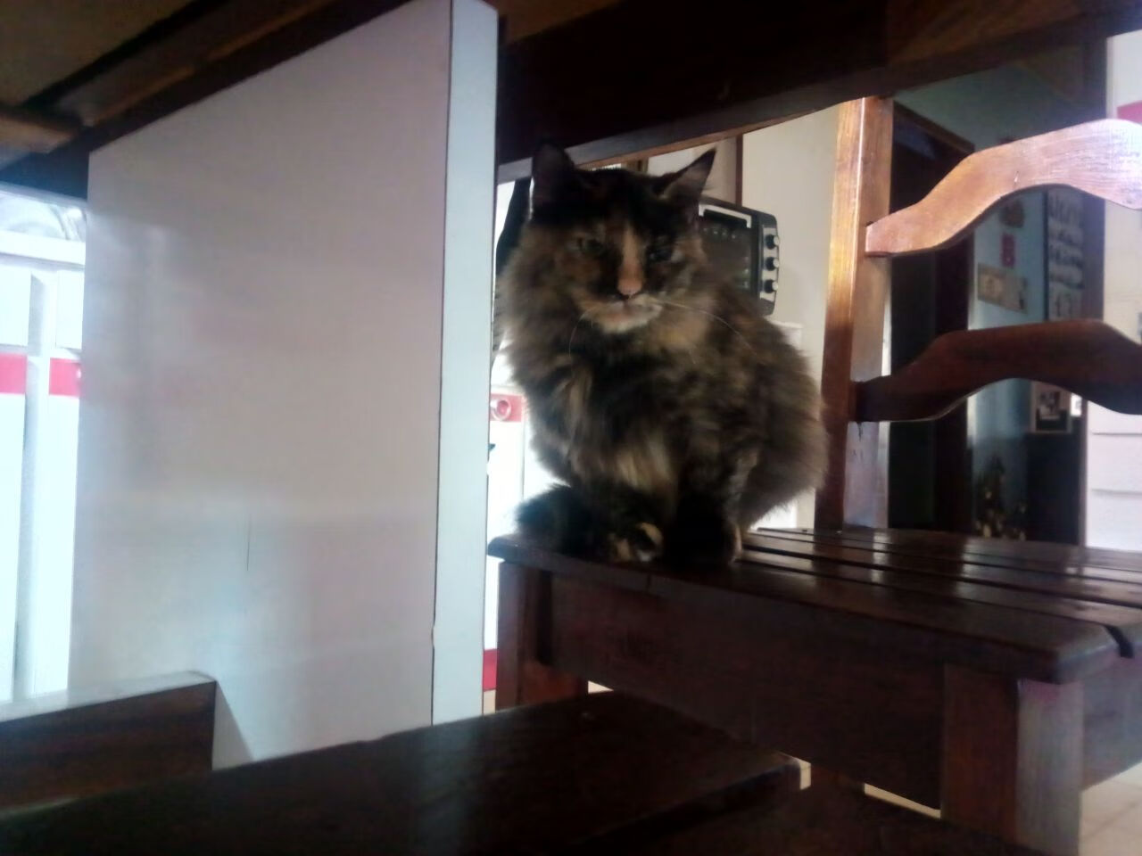 AIYOUXI.COM-教练现场调整站位指令迅速传达战术执行效率持续上升，教练临场指挥