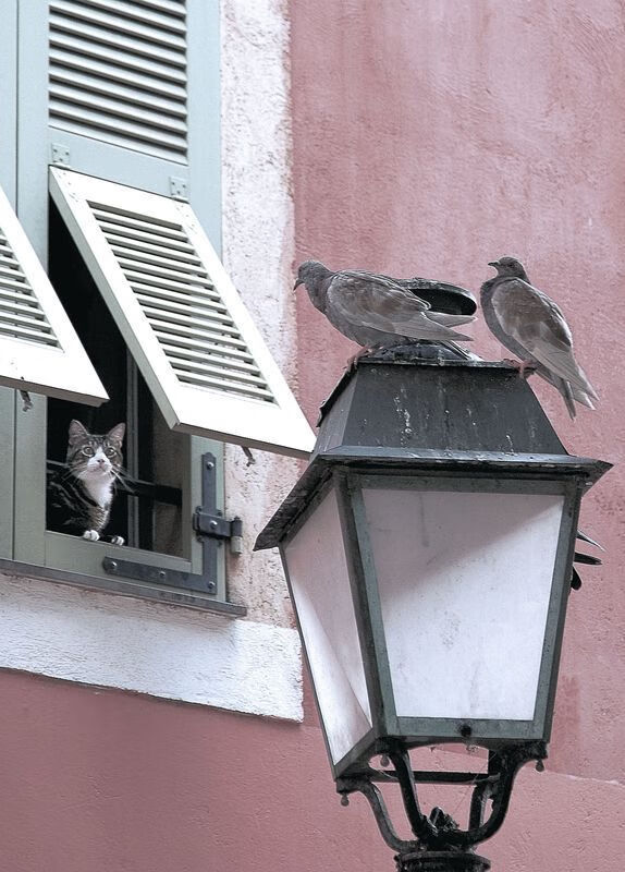 爱游戏体育（AYX）官方APP下载-朱婷锁定胜局亚运会，朱婷奥运会还能上场吗