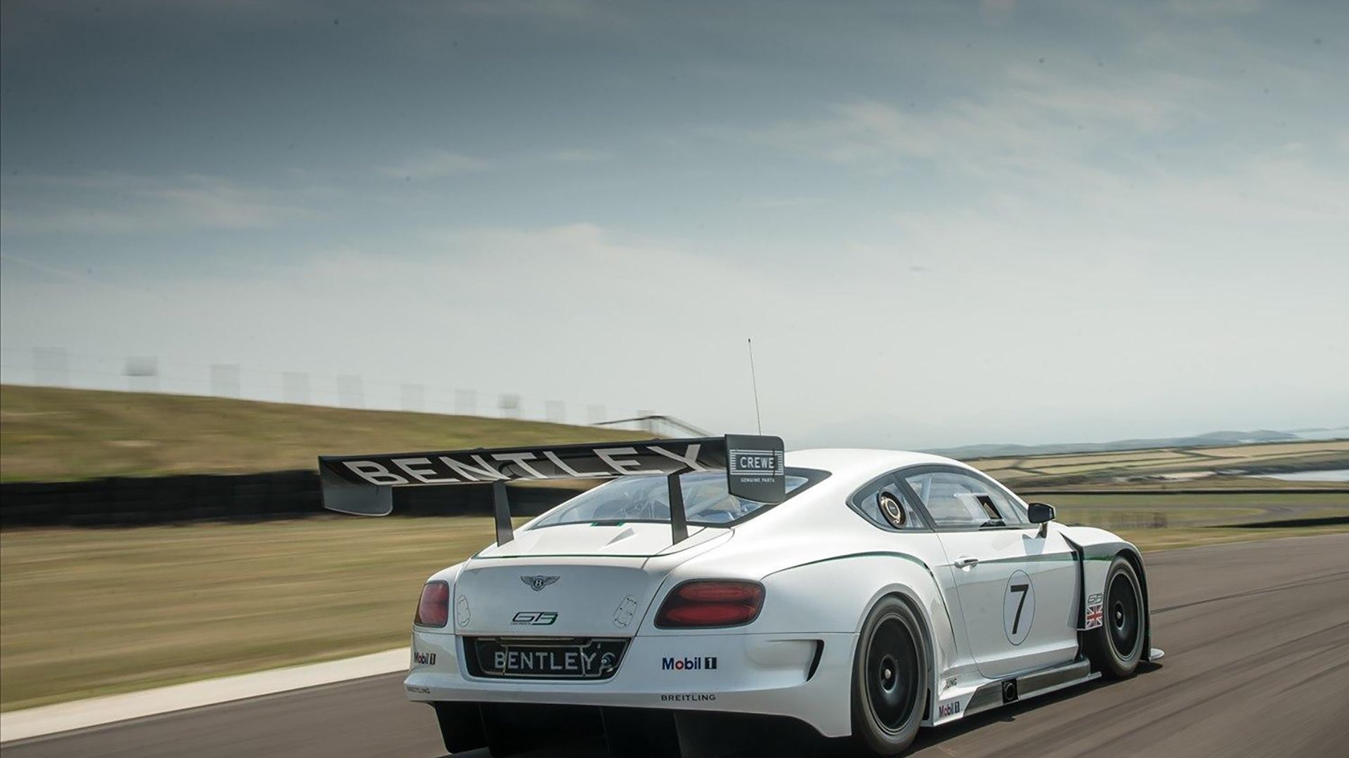 -美洲杯激情燃烧：明星耀场，精彩纷呈！，美洲杯锦集